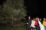 Residence Tree Lighting Ceremony