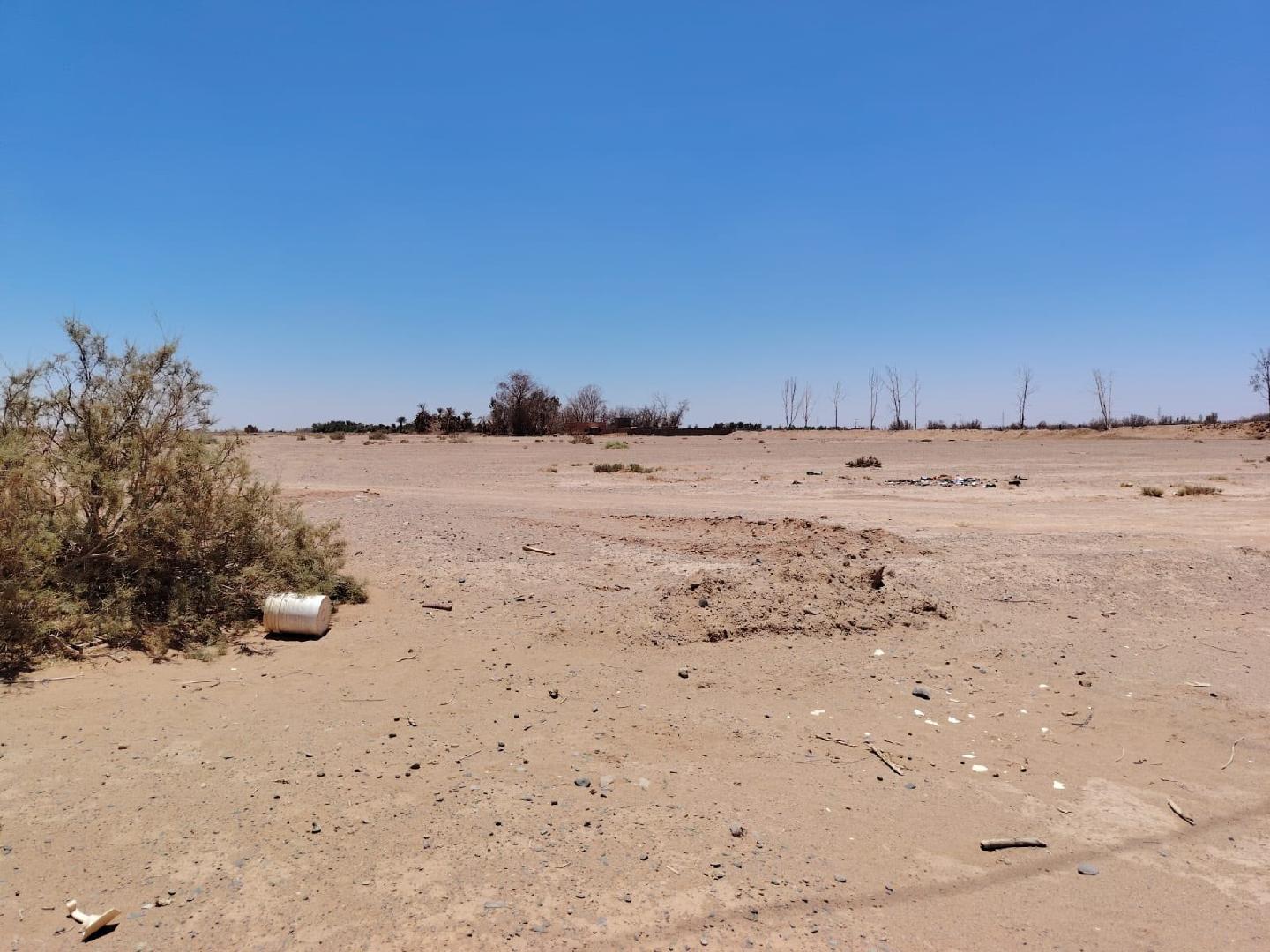 أرض زراعية حي يمين طريق البئر بتبوك صك 360680000485