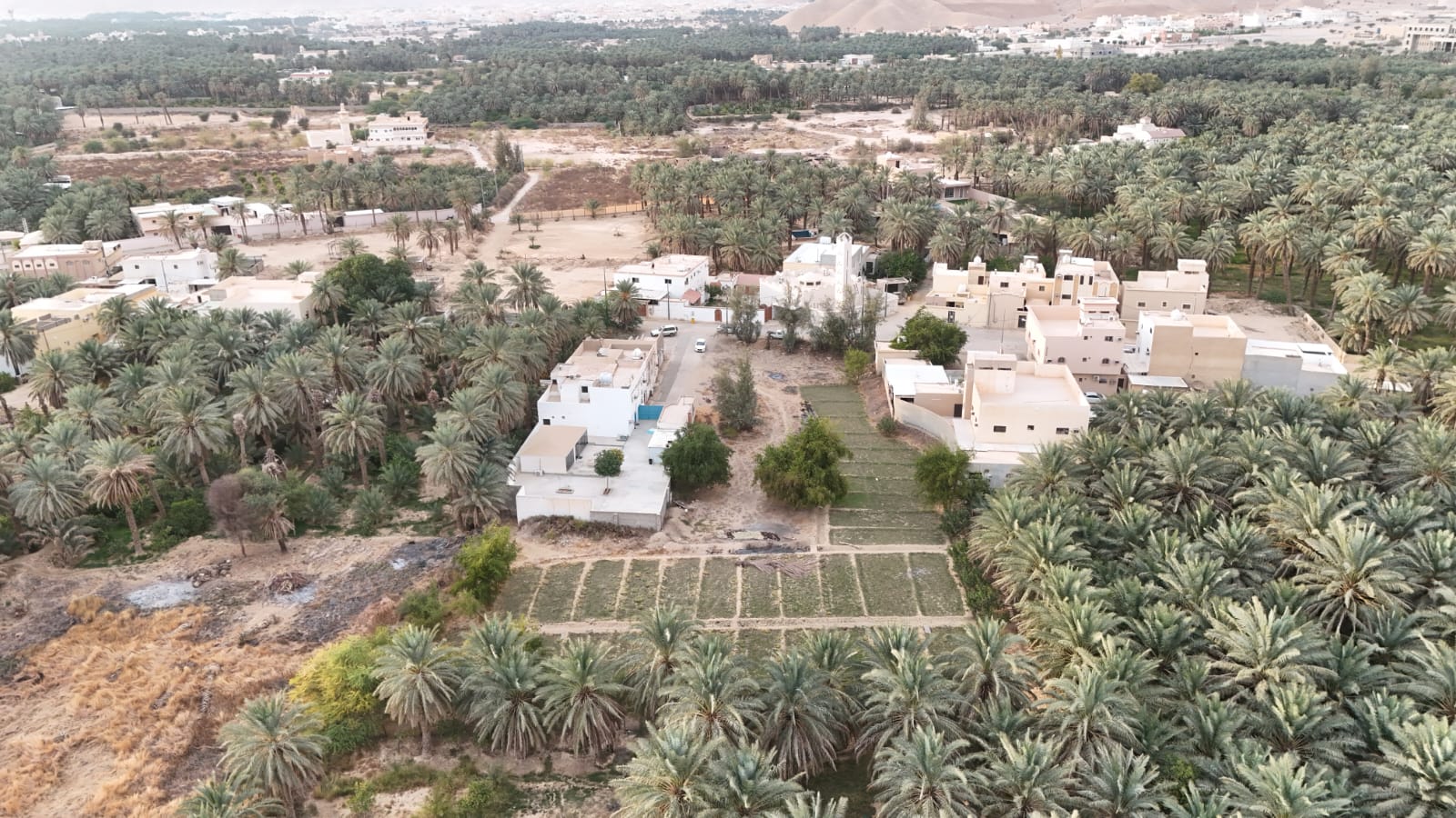 أرض زراعية -460675004538