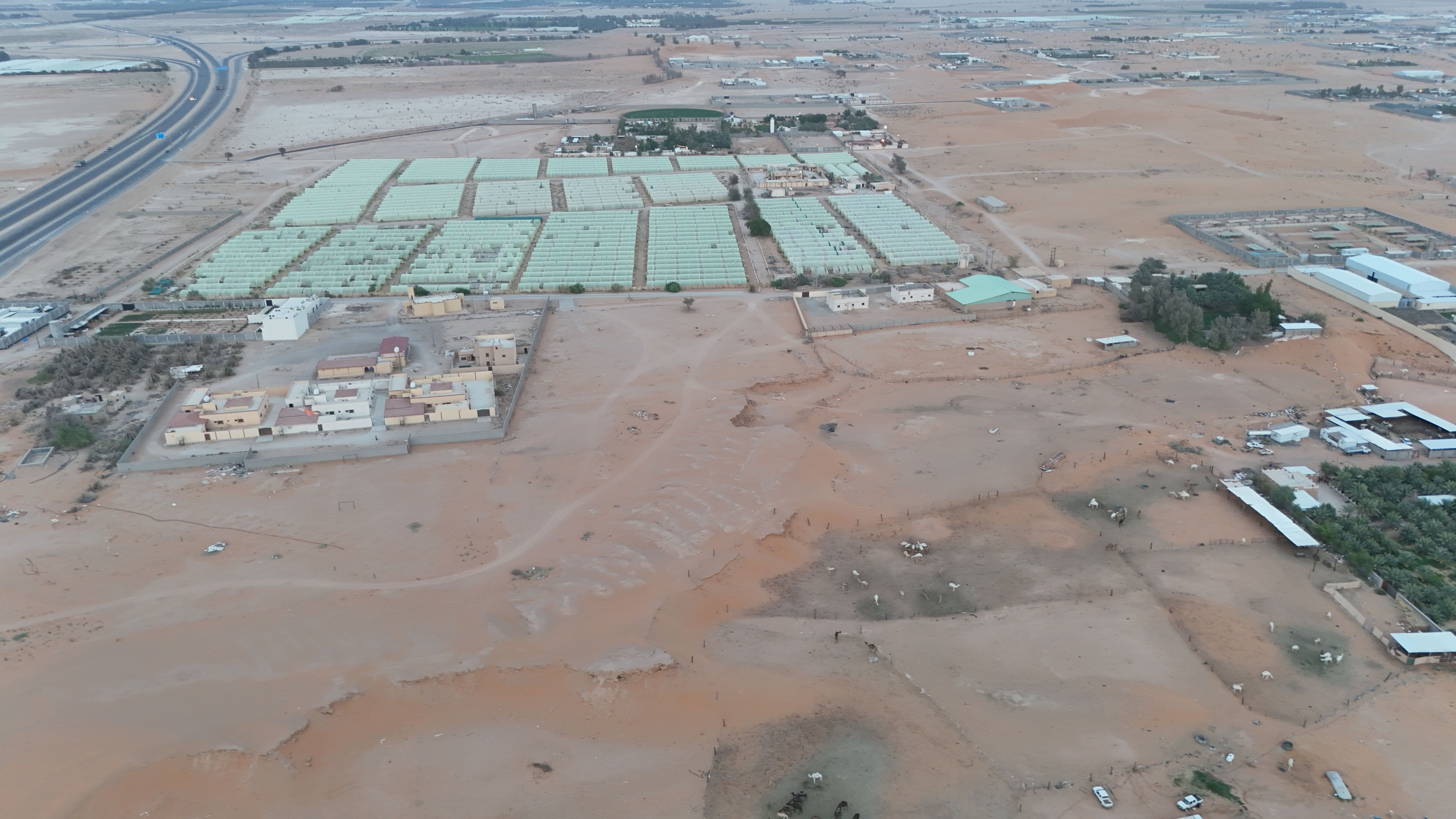 أرض زراعية / الخرج / الرحمانية غرب الهياثم / 811507007250