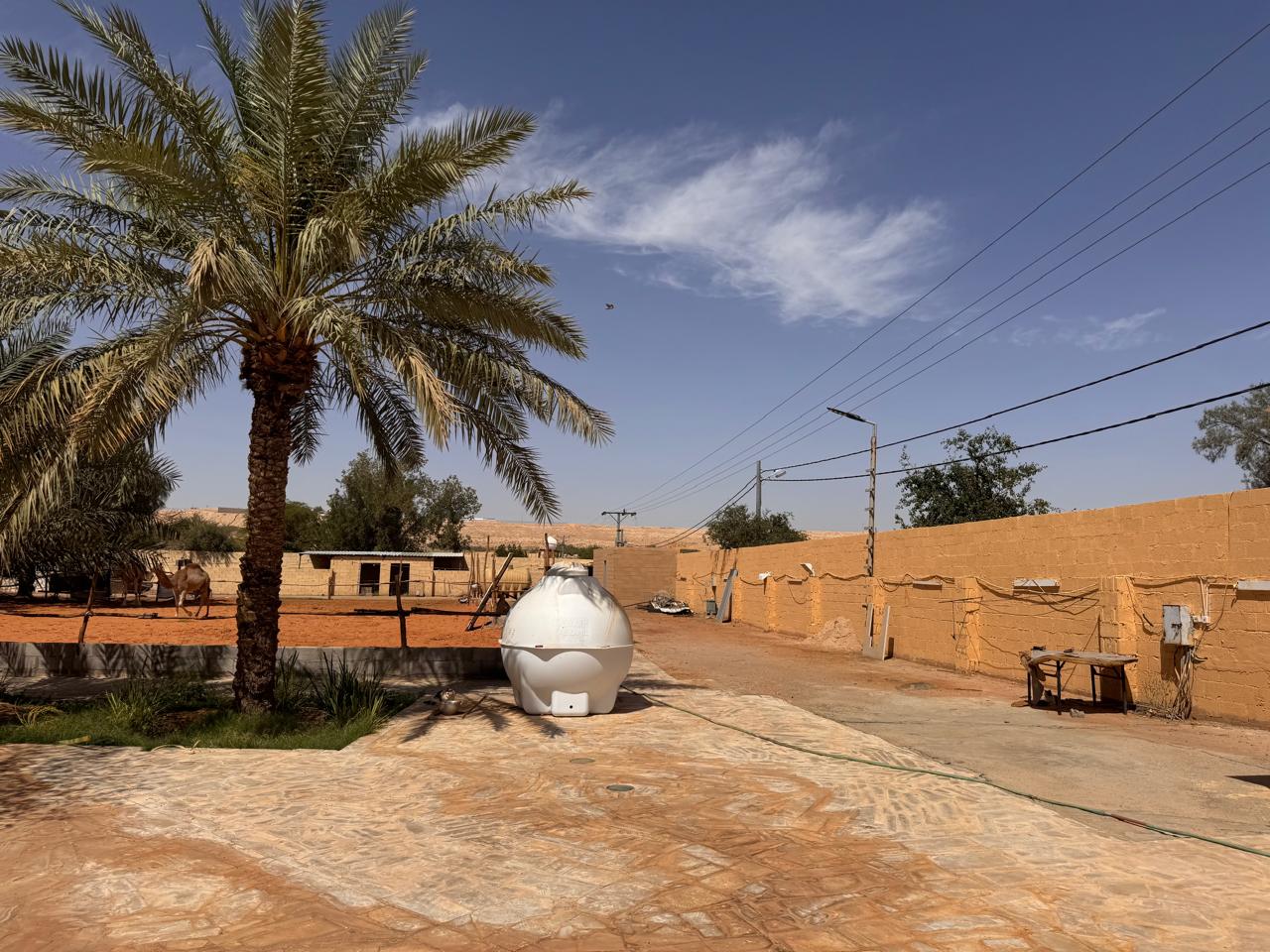 مزرعة بمدينة جو 899020001700 - 399020001699