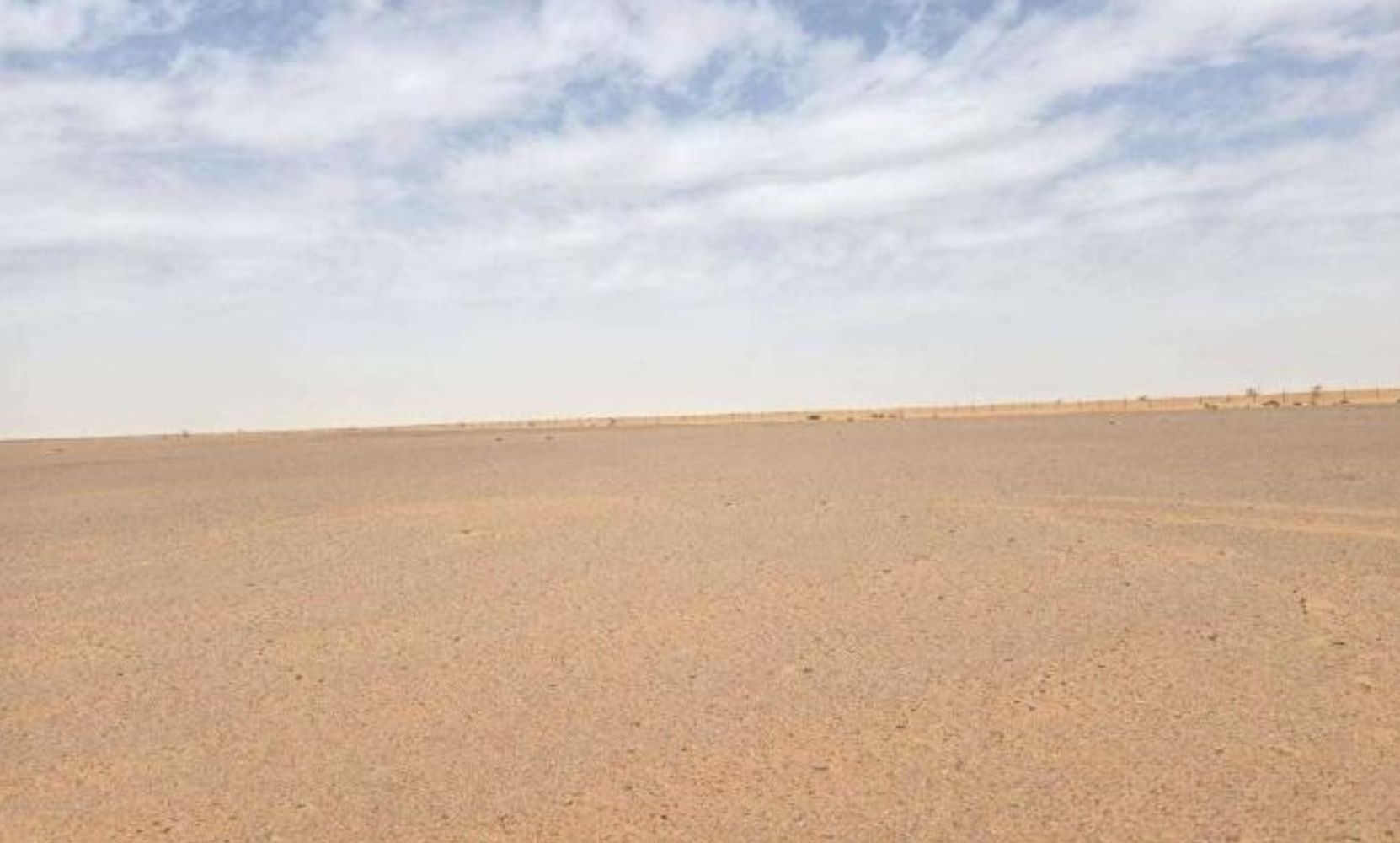أرض زراعية في الجلة وتبراك بمساحة 14,964.49 متر مربع .. شارع 30م