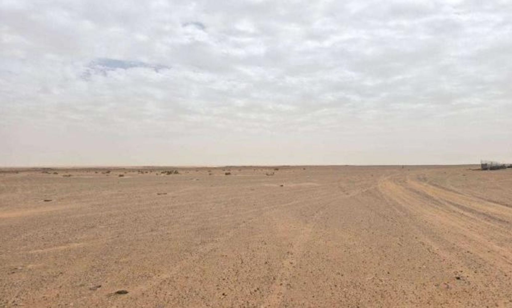 أرض زراعية في شمال الجلة بمساحة 10,000 متر مربع .. شارع 15م