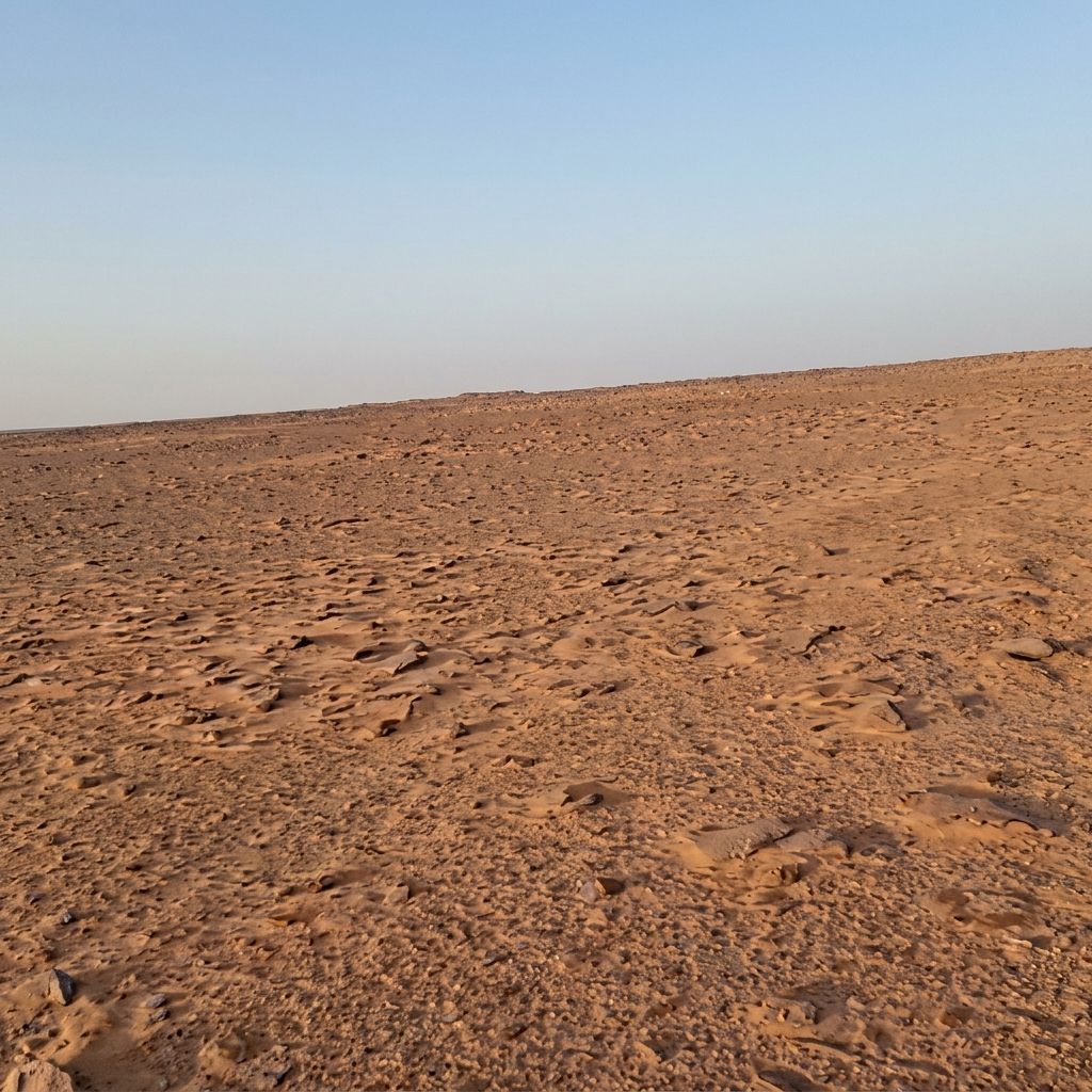 أرض زراعية في الجلة وتبراك بمساحة 10,000 متر مربع شارع 30 شرقي