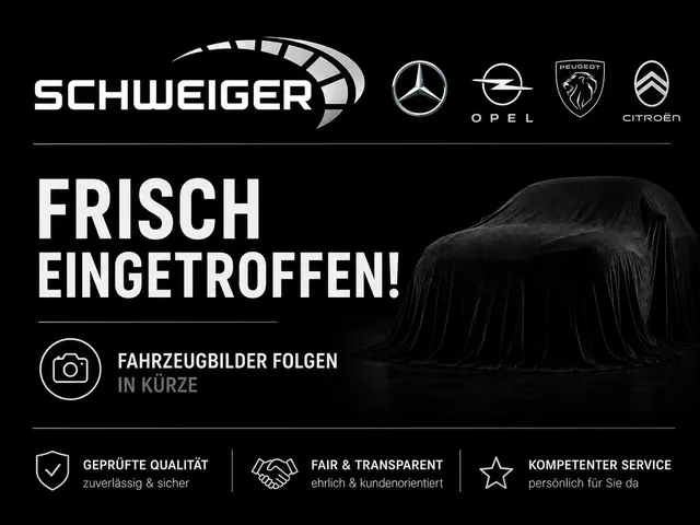 Opel Corsa F Gs 4,6L Consumption Winter Package Camera