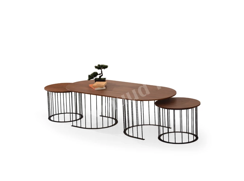 Rıpa Ceviz Orta Sehpa