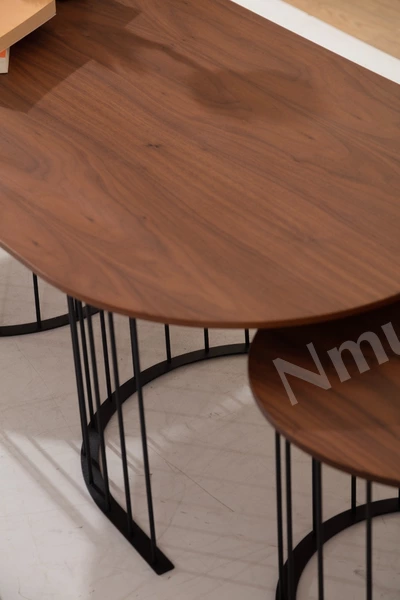 Rıpa Ceviz Orta Sehpa