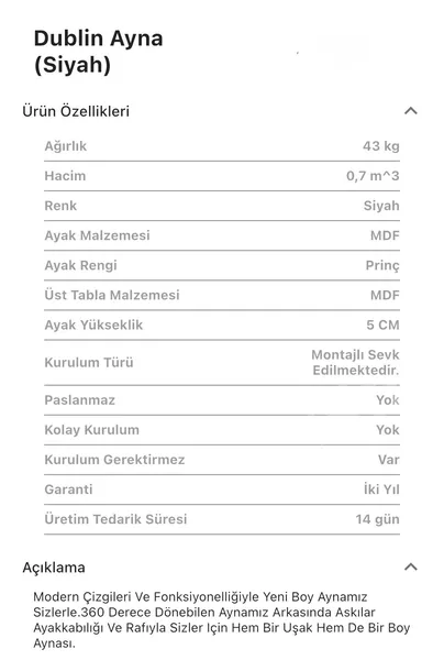 Dublin Siyah Boy Aynası