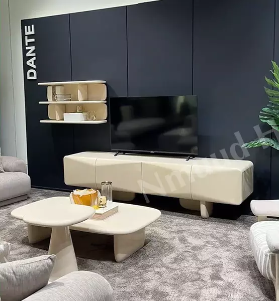 Dante Televizyon Ünitesi