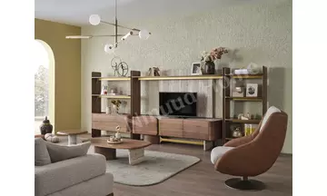 Alba Televizyon Ünitesi