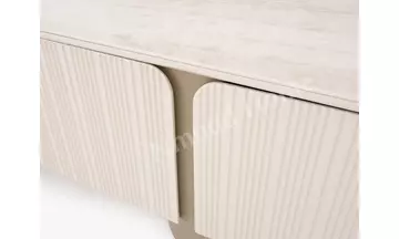 Venedik Televizyon Ünitesi