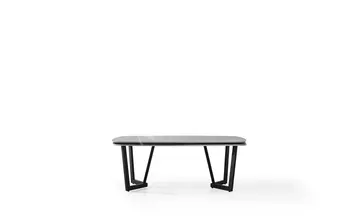 Tesla Plus Yemek Odası