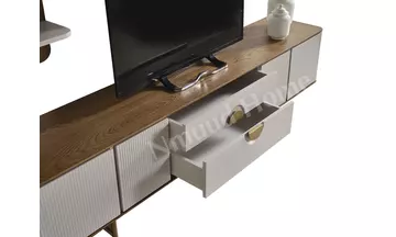 Viola Televizyon Ünitesi