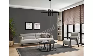 Polo Koltuk Takımı