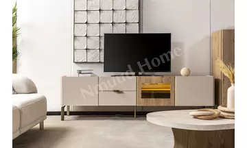 Artemis Televizyon Ünitesi