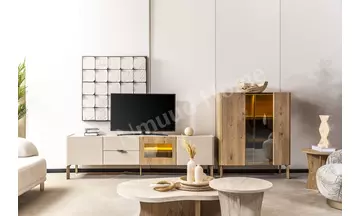 Artemis Televizyon Ünitesi