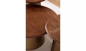 Tola Ceviz, Pirinç Orta Sehpa Seti