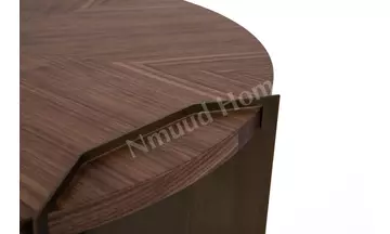 Molly Ceviz Yan Sehpa