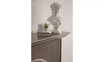 Olivia Vizon Şömine