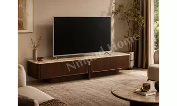 Orion Televizyon Ünitesi