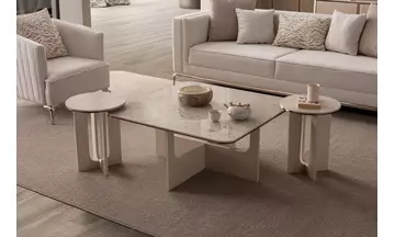 ZARA Modern Koltuk Takımı