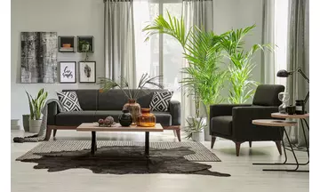 TRIANA KOLTUK TAKIMI