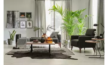 TRIANA KOLTUK TAKIMI