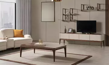 Zeos Tv Ünitesi