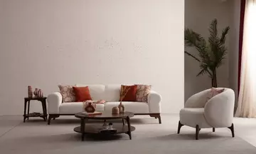 Alpin Koltuk Takımı