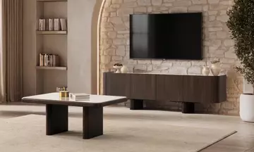 Aral Tv Ünitesi