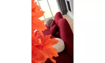 Lips Koltuk Takımı