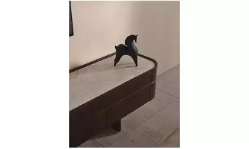 Akra Tv Ünitesi