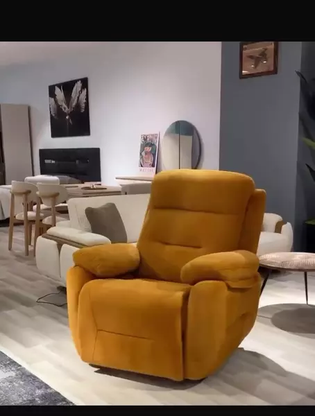 Lexus Açılır Mekanizmalı Sallanır Baba Koltukları