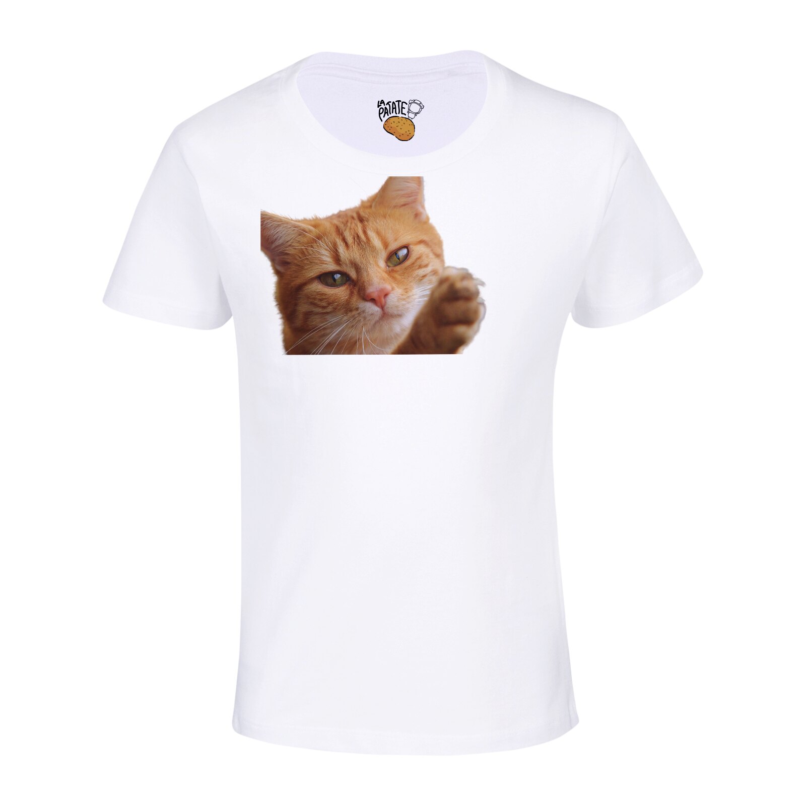 T Shirt Enfant Mixte Animal De Compagnie Chat Roux Poil Long Ebay