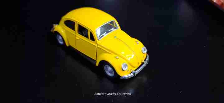 Unknown Volkswagen Beetle