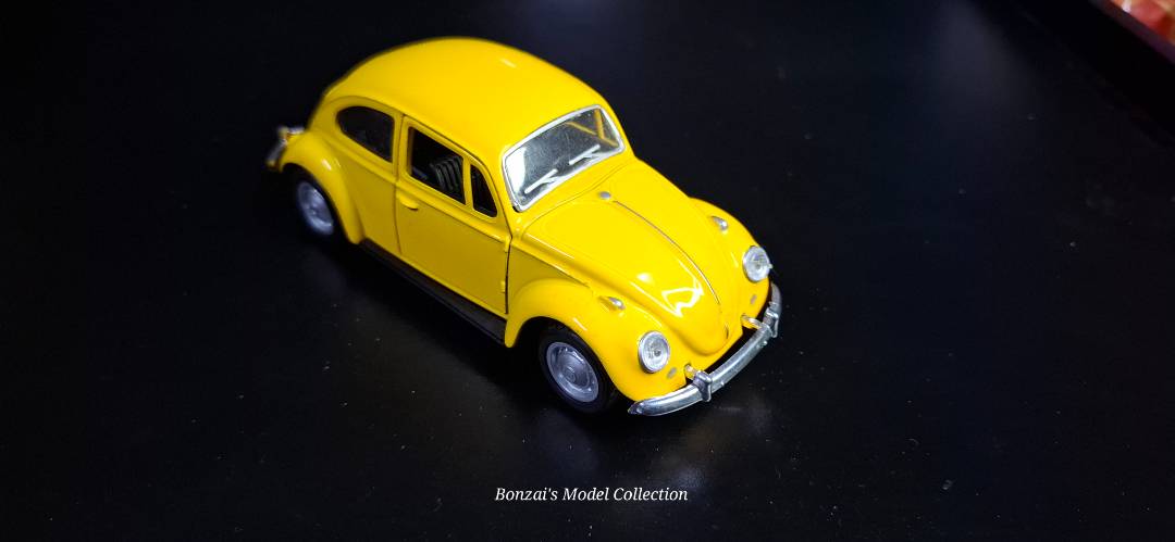 Unknown Volkswagen Beetle
