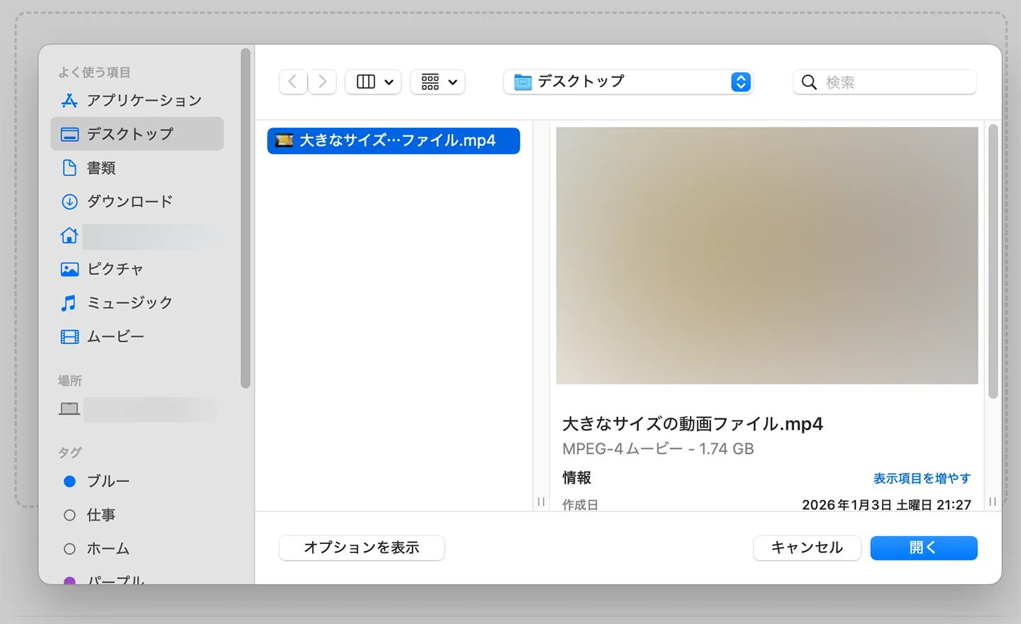 動画ファイルを選択