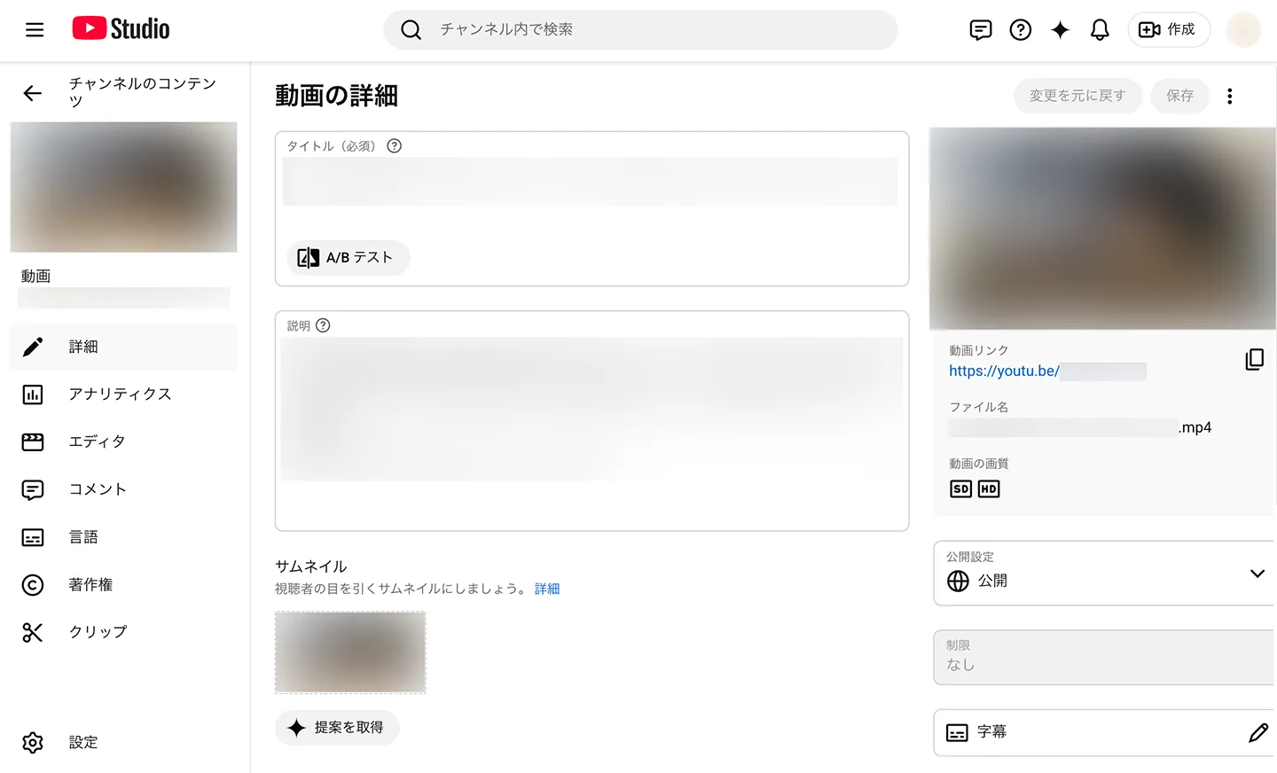 動画の詳細