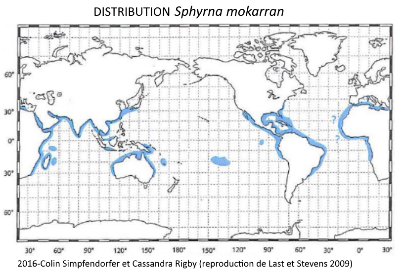 2016_Collin Simpfendorfer & al._carte distribution mokarran.png