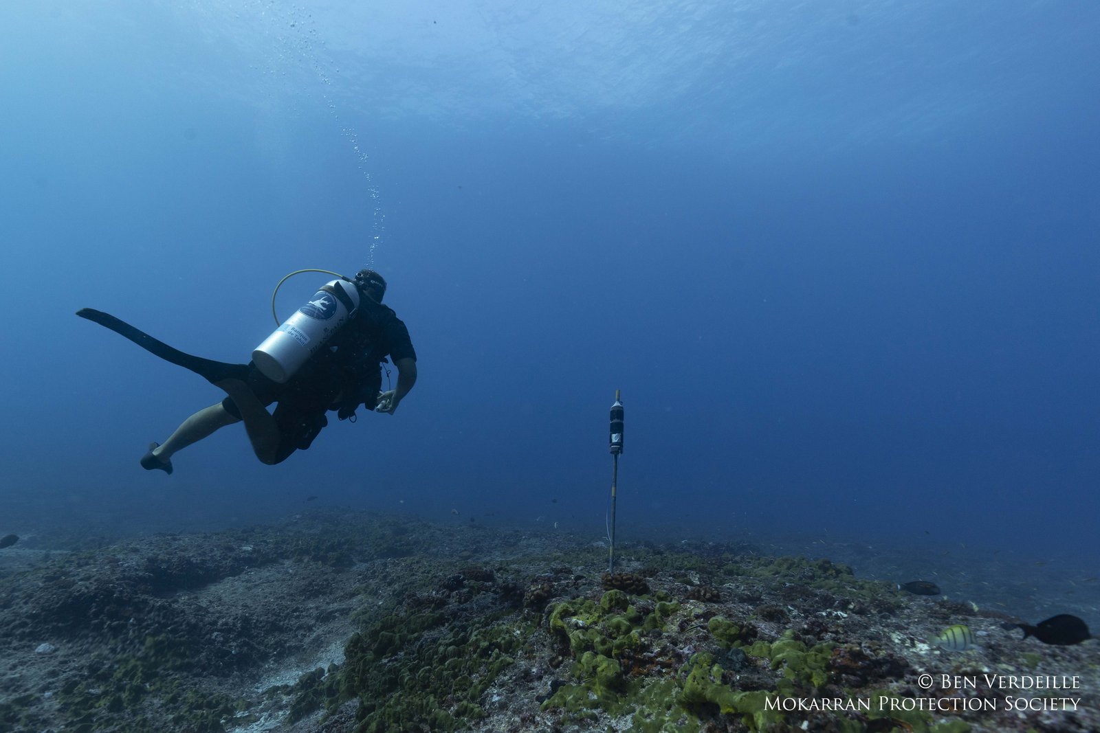 Le déploiement de récepteur acoustique, enjeu prioritaire de cette mission.jpg