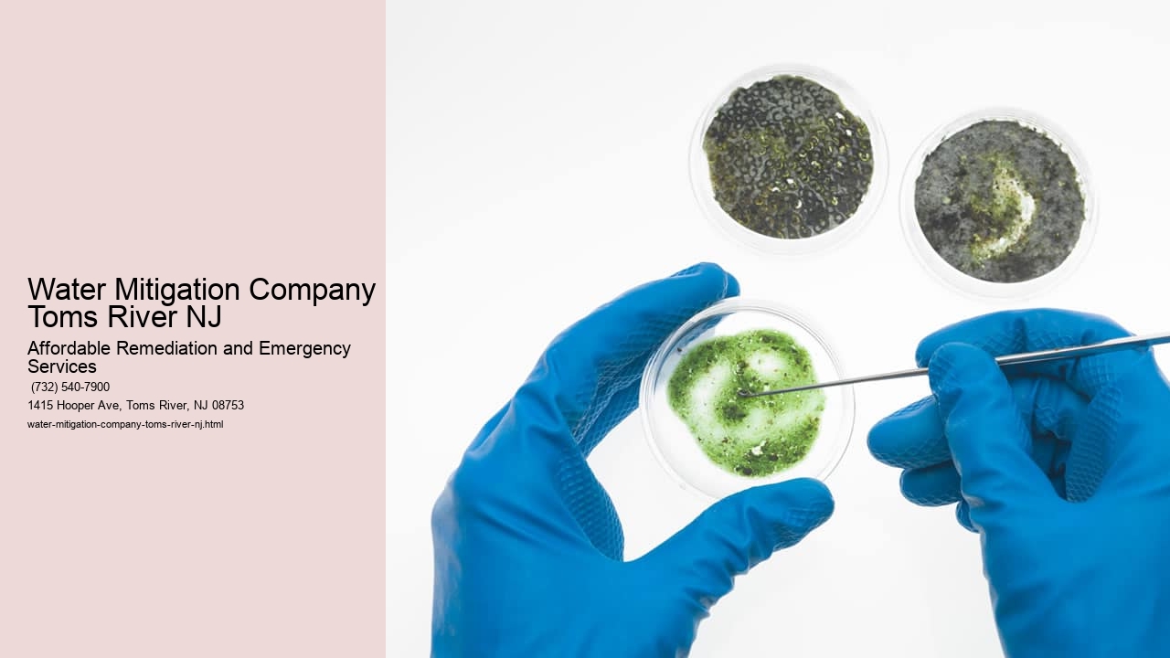 Water Mitigation Company Toms River NJ