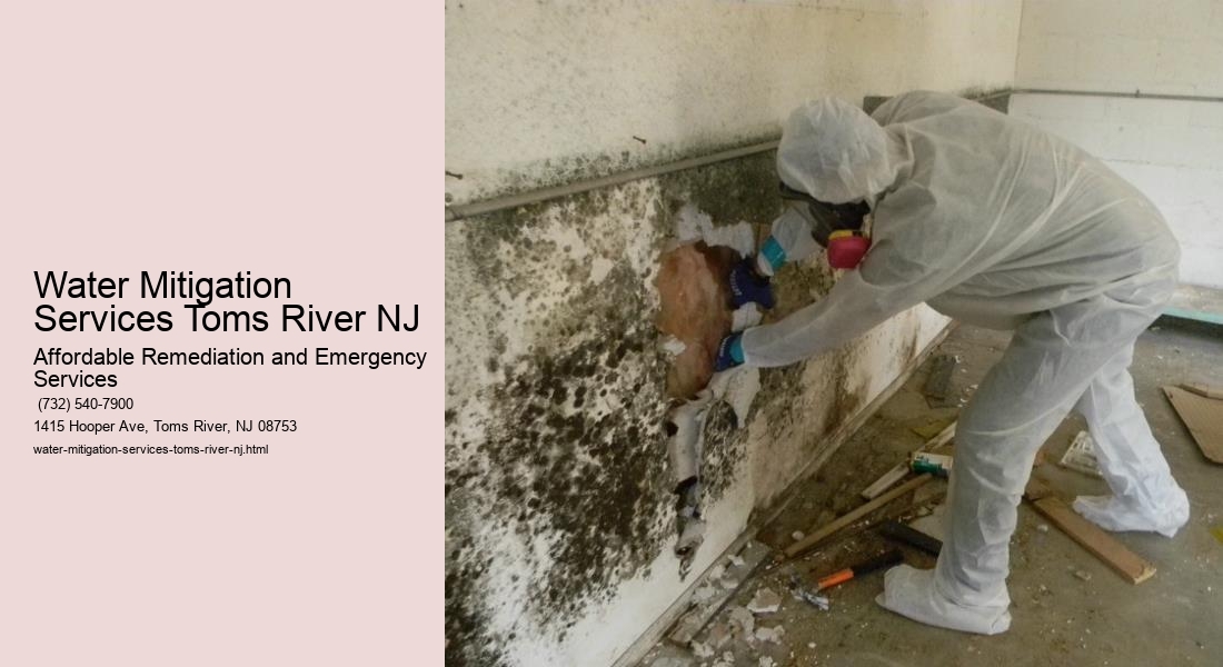 Water Mitigation Services Toms River NJ