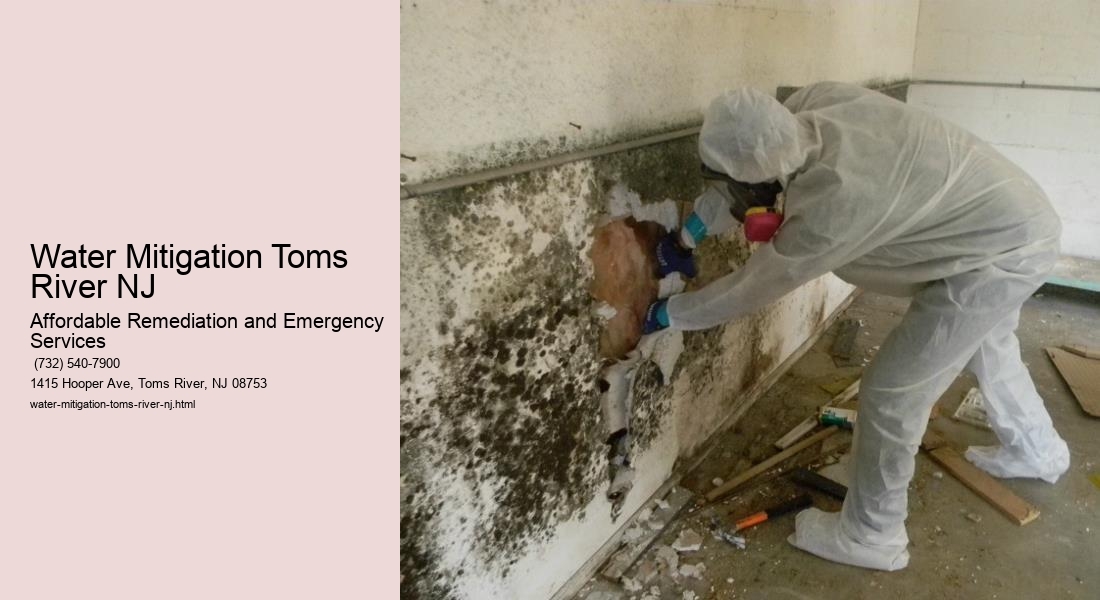 Water Mitigation Toms River NJ