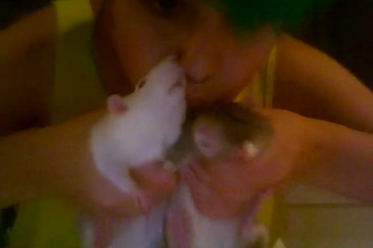 Thumbnail for RAT KISSIES