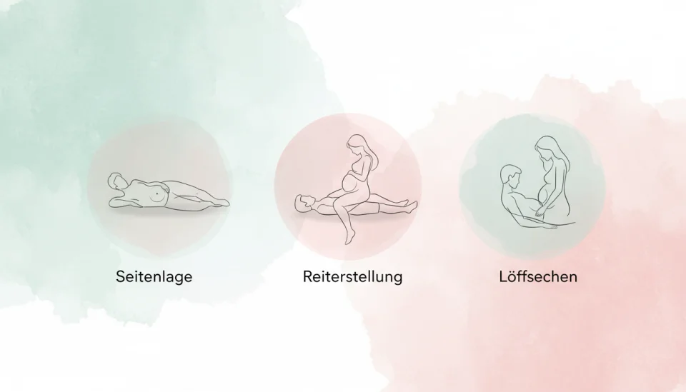 A minimalist educational watercolor diagram showing three comfortable pregnancy positions illustrated with simple elegant line drawings, each position labeled with clear text: Seitenlage (side-lying), Reiterstellung (woman on top), and Löffelchen (spooning), soft pastel background in mint green and blush pink, clean modern design with gentle shadows, informative yet tasteful aesthetic, wide angle view of the full infographic layout, professional health education style with warmth and accessibility