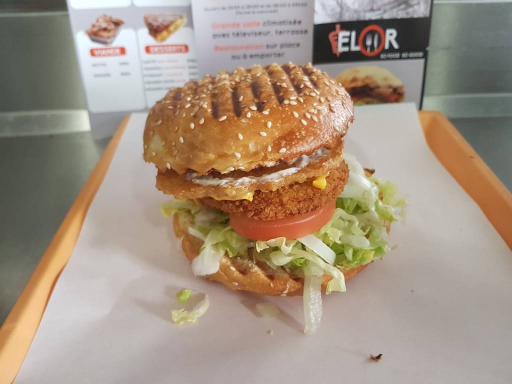 Kebab Elor Perpignan Perpignan - Dish Food Hamburger Cuisine Veggie burger