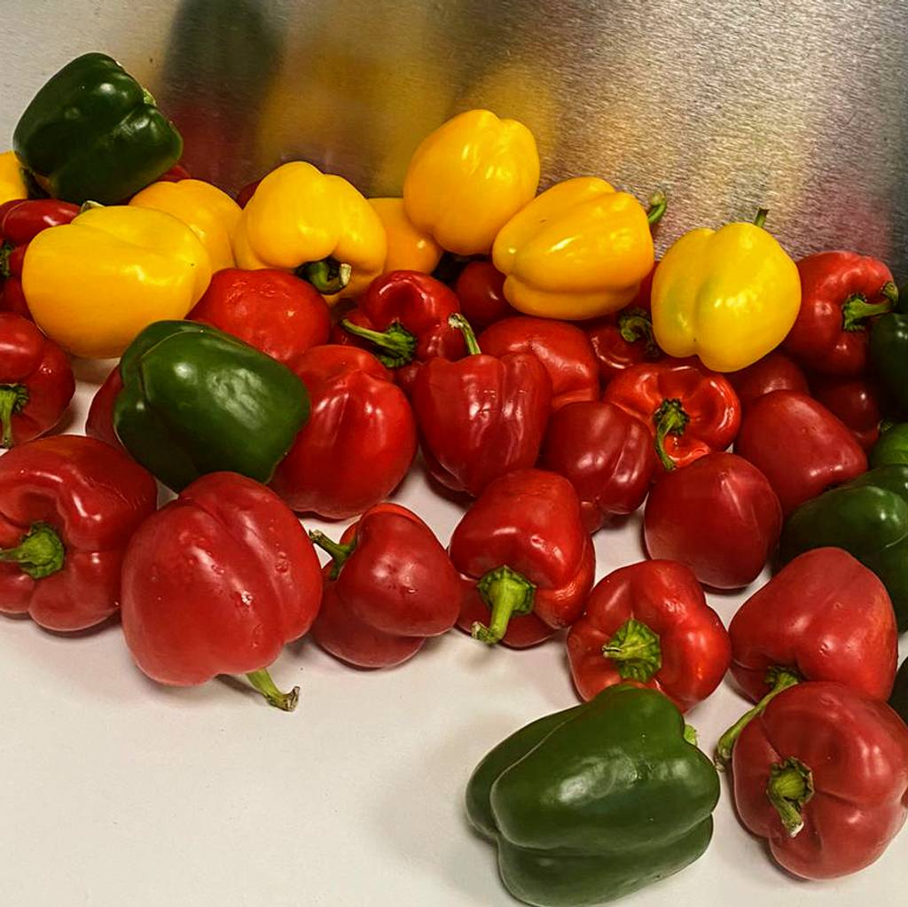 Pizzeria LA BOISÉE Vénissieux - Food Plant Bell pepper Ingredient Natural foods