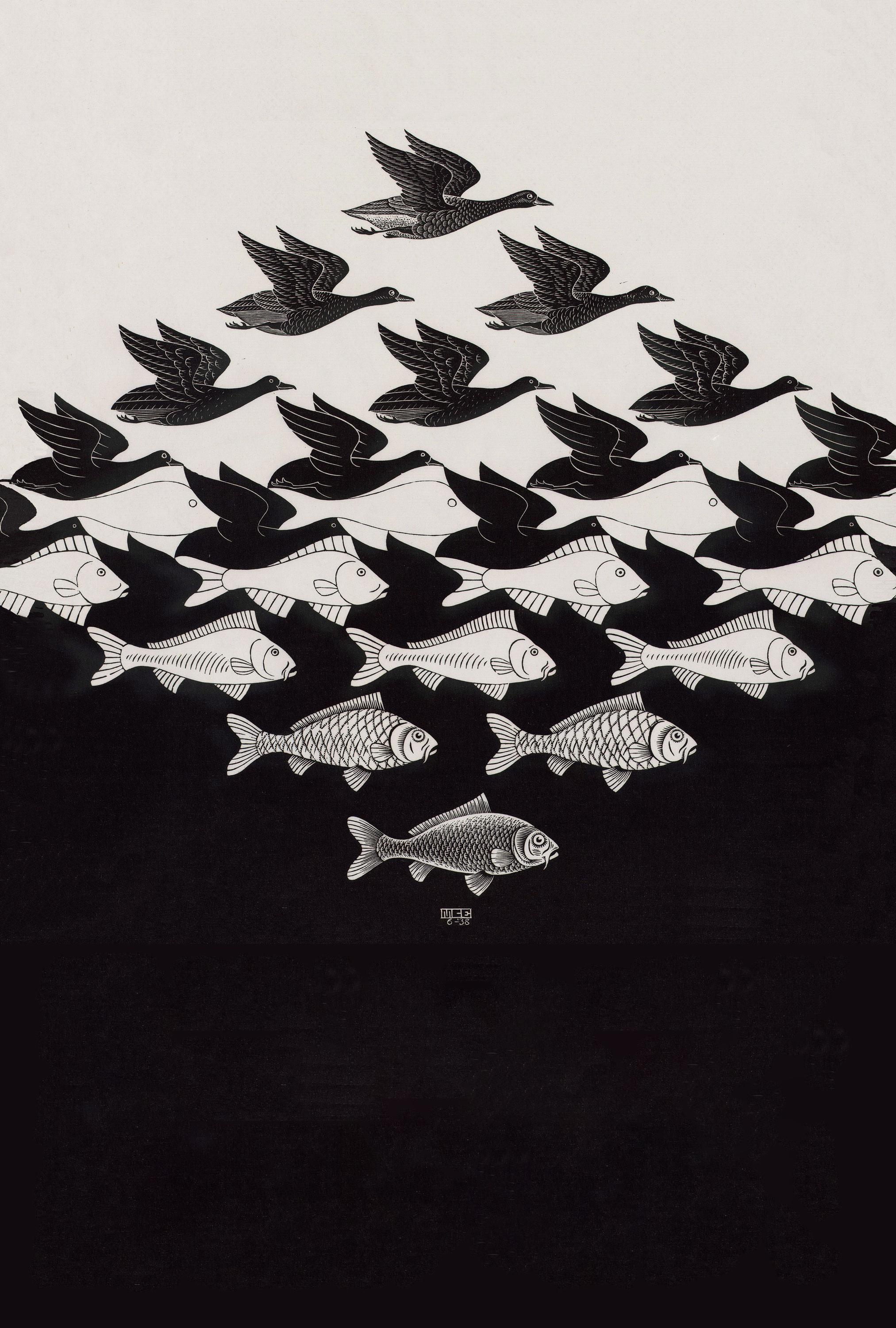 M.C. Escher inspired artwork with birds and fish