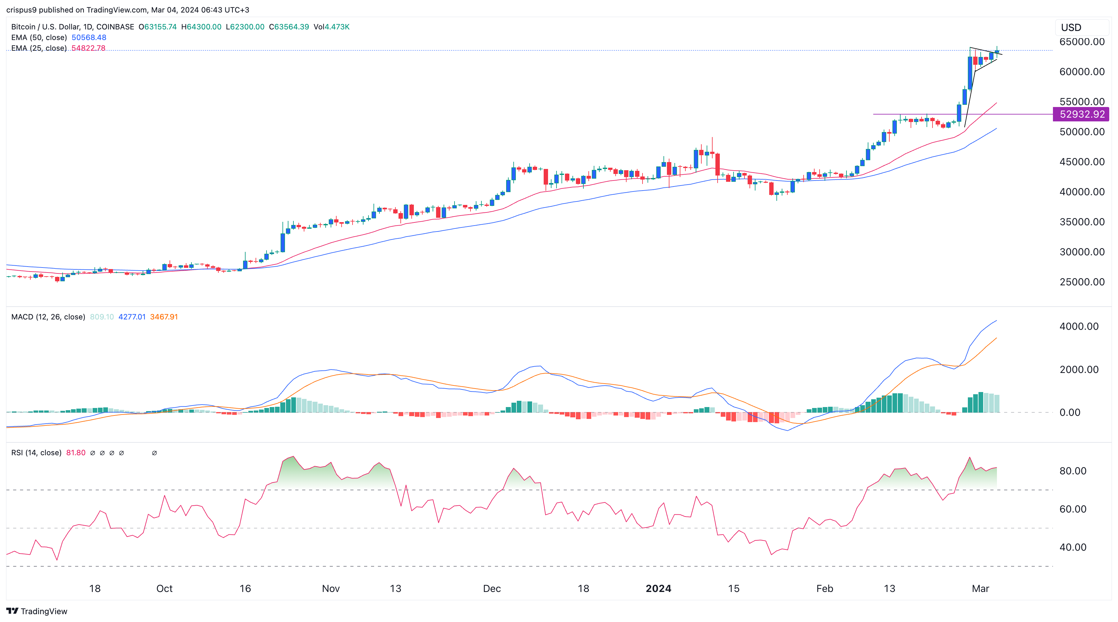 Jasmy, Fantom, Bonk Prices Surge as BTC Forms Bullish Pennant