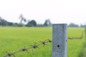 投資信託に元本割れはある！リスクを抑えるためのコツ